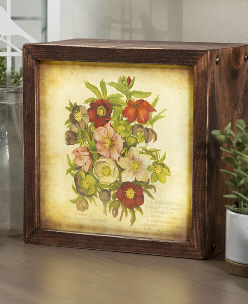 Edison Lightbox