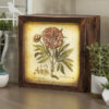 LED Light box