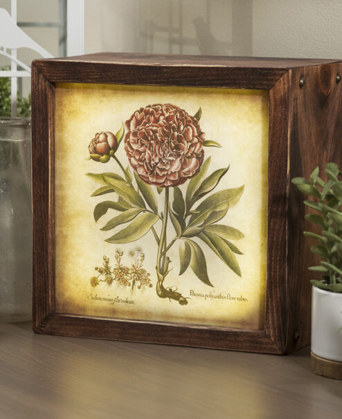 LED Light box