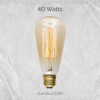 Edison Bulb