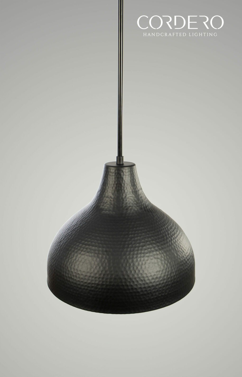 Flat Black Hammered Dome Light