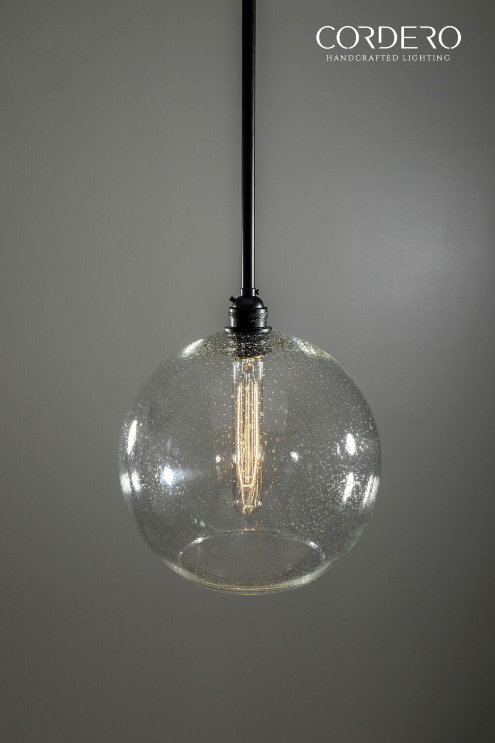 Seed Glass Globe Pendant Light