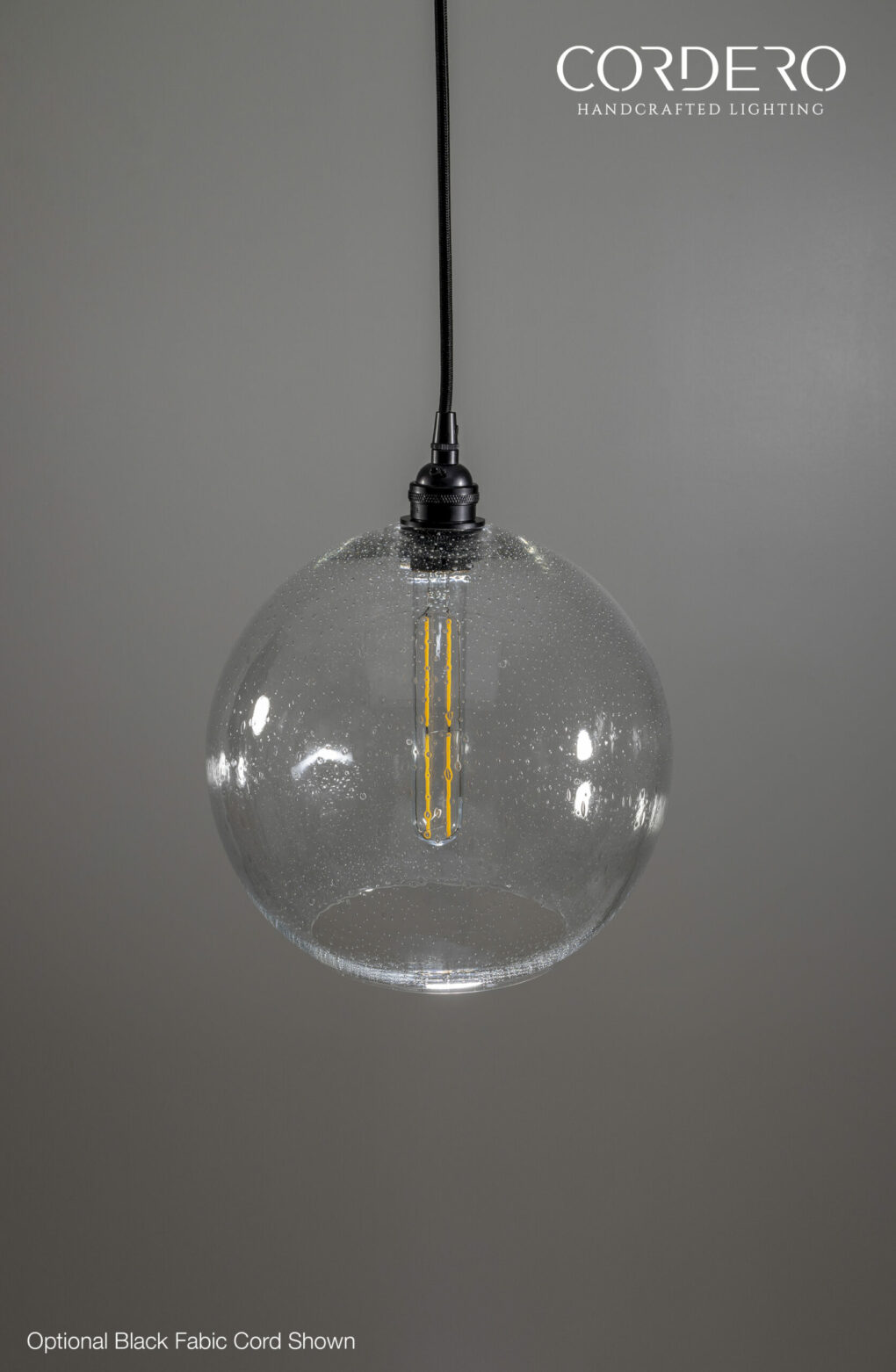 Seed Glass Globe Pendant Light