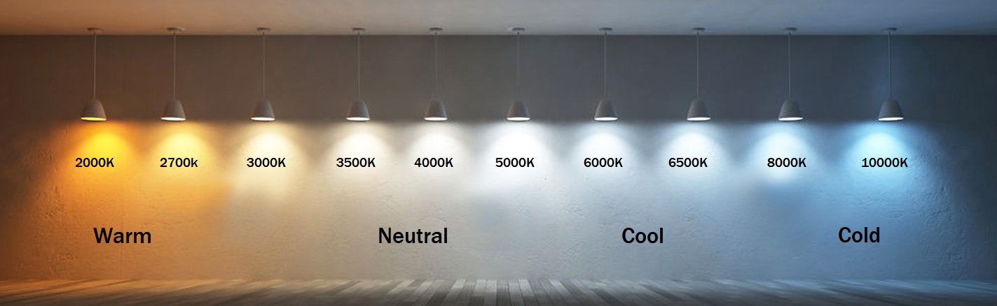 Light Bulb Color