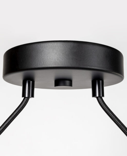 Double Canopy Pendant Light Fixture