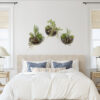 Hammered Wood Wall Planter