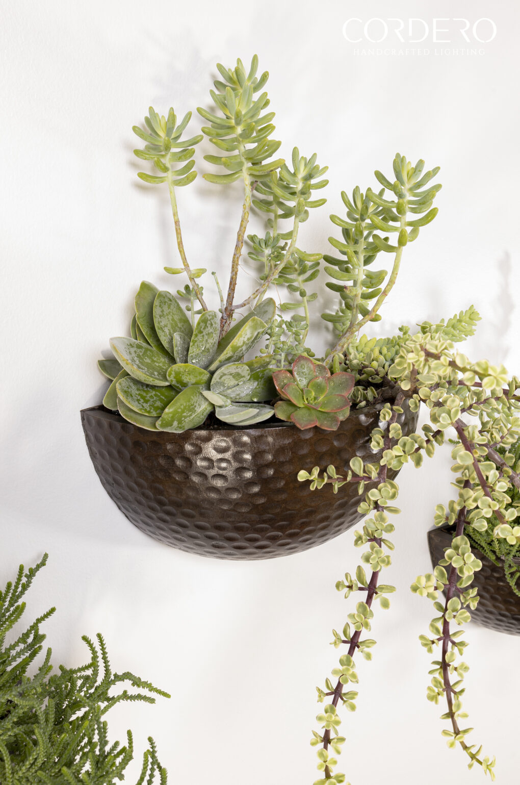 Hammered Wood Wall Planter
