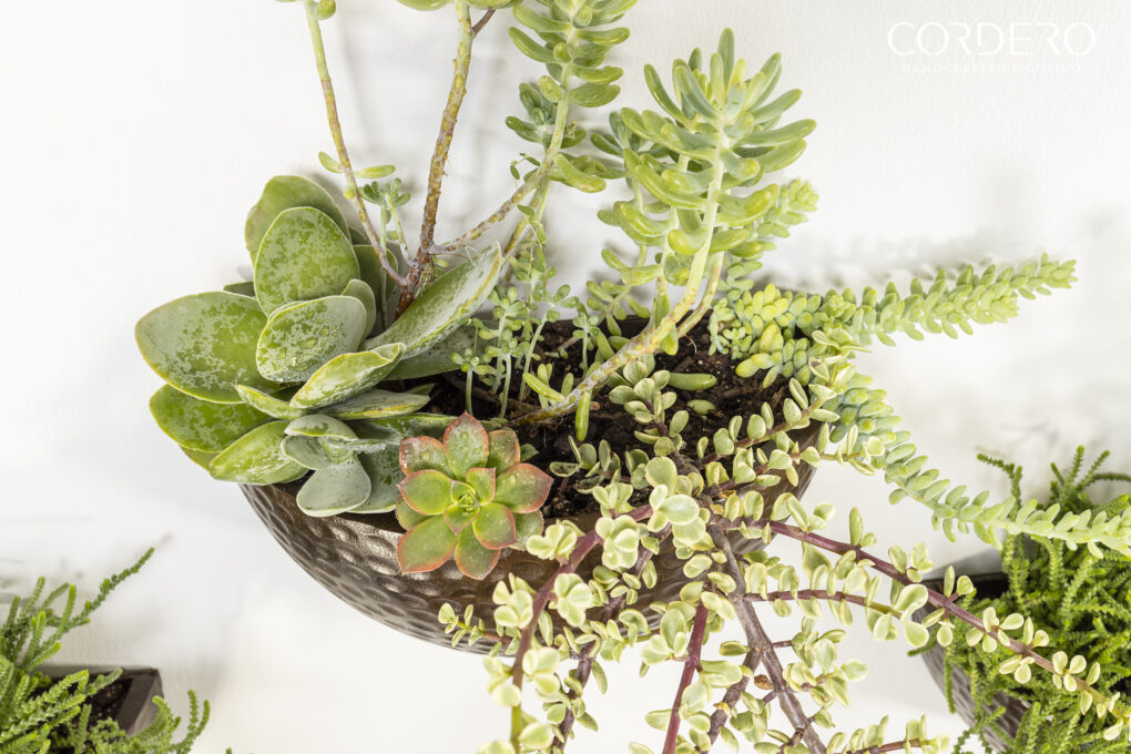 Hammered Wood Wall Planter